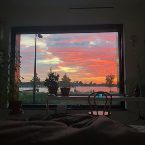 免费➕无码➕国产在线看百度
