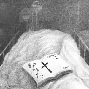 免费➕无码➕国产在线看百度
