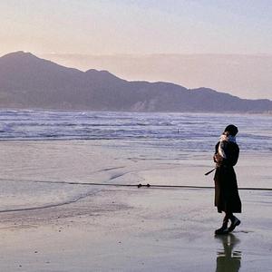 免费➕无码➕国产在线看百度
