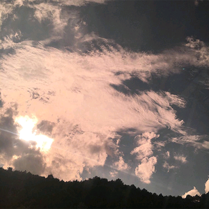 免费➕无码➕国产在线看百度
