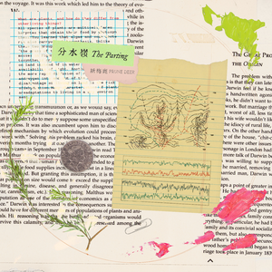 免费➕无码➕国产在线看百度
